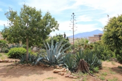 Parque Lobera