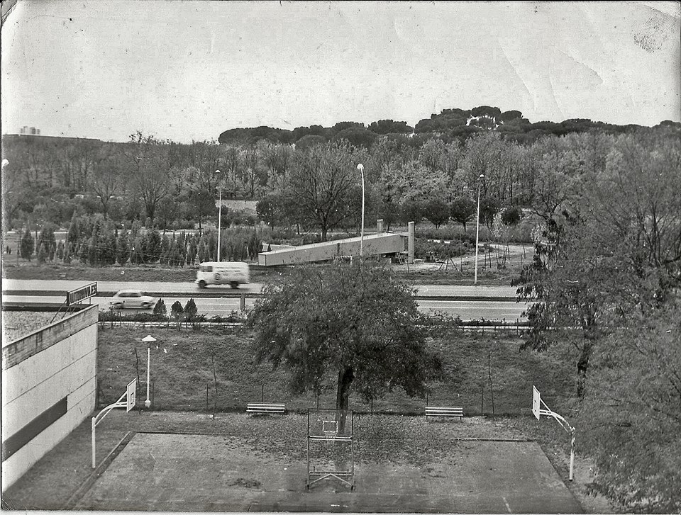 El Parque grande. Comandante Fortea 25