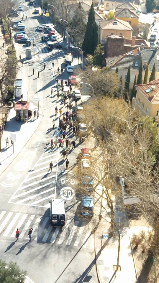 Manifestación contra la tala de árboles. 2018.