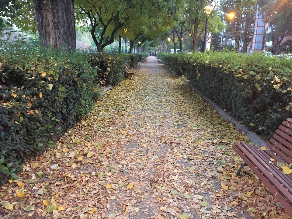 Paseo junto al río Manzanares. 2016. Carlos Lillo Campos.