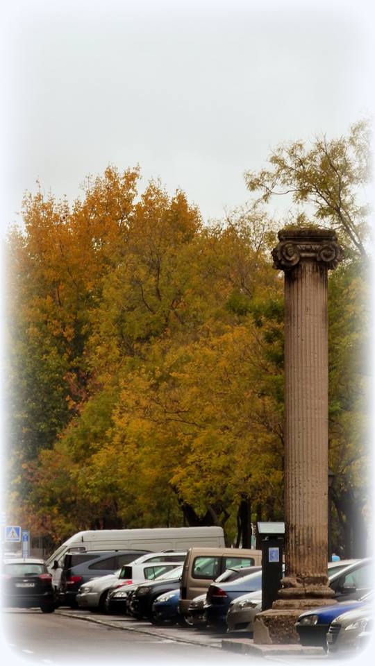 Columna del río Manzanares.